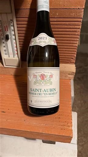 Burgundy Saint-Aubin Premier Cru Gilles Bouton & Fils En Remilly 2023