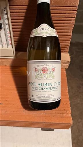 Burgundy Saint-Aubin Premier Cru Gilles Bouton & Fils Les Champlots 2022