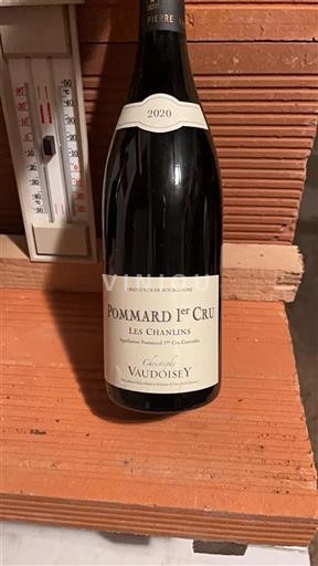 Burgundija Ni doloceno Premier Cru Christophe Vaudoisey Les Chanlins 2020