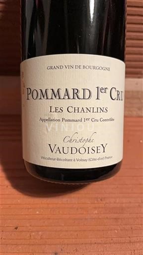 Burgundija Ni doloceno Premier Cru Christophe Vaudoisey Les Chanlins 2022