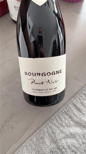 Bourgondië Bourgogne Vignerons de Bel-Air 2022