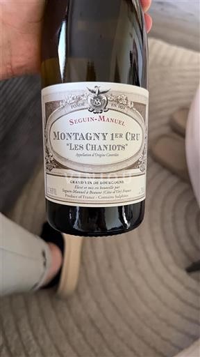 Bourgondië Niet gespecificeerd Premier Cru Seguin-Manuel Les Chaniots 2023