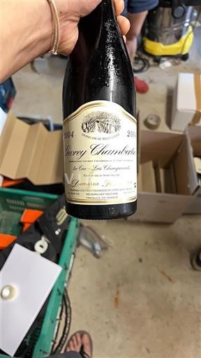 Borgogna Gevrey-Chambertin Premier Cru Domaine Arlaud Les Champonnets 2004