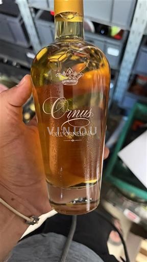 Tuscan Wines Unspecified Dell'Ornellaia Ornus Non-Vintage