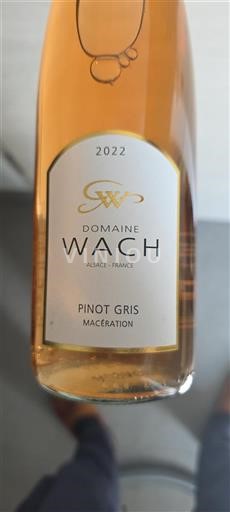 Elsass Nicht spezifiziert Grand Cru Domaine Wach Pinot Gris Macération 2022