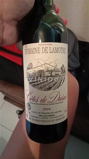 Sud-Ovest Côtes-de-duras Domaine Lamothe 2004
