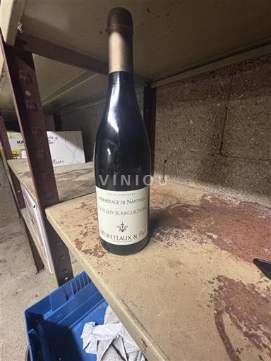 Burgundy Coteaux Bourguignons Moreteaux & Fils Hermitage de Nantoux Non-Vintage