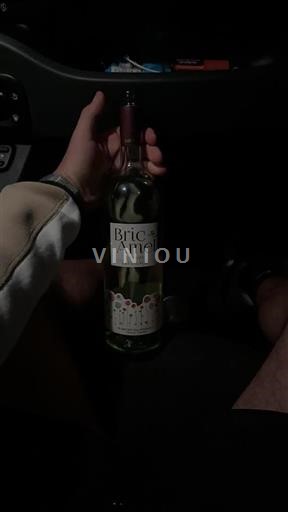 Piemonte Langhe Marchesi di Barolo Bric Amel 2023