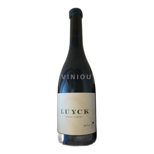 Vin Rouge sec Salto Luyck Winery 2021 Belgique Liège Vins de Liège