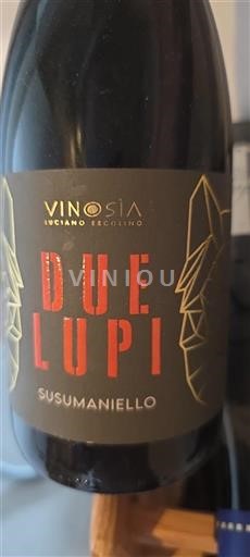 Apulia Wines Unspecified Vinosia Due Lupi 2021