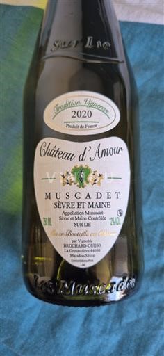 Valle della Loira Muscadet Sèvre et Maine Château D’Amour 2020