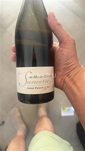 Valle della Loira Sancerre Pierre Prieur & Fils Les Monts Damnés 2022