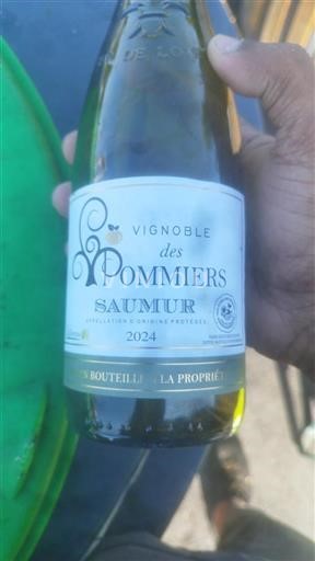 Vallée de la Loire Saumur Vignoble des Pommiers 2024