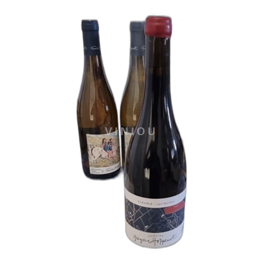 Beaujolais Fleurie Domaine Grégoire Hoppenot Les Moriers 2022