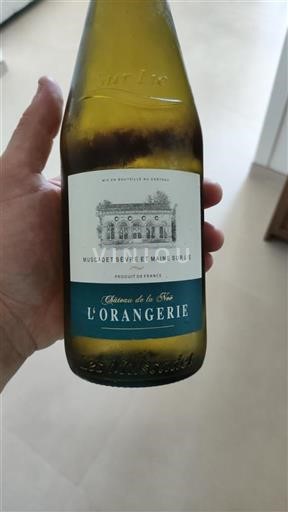 Valle della Loira Muscadet Sèvre et Maine Château La Noë L'Orangerie 2023