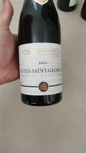 Bourgondië Nuits-saint-georges Domaine Dupasquier & Fils 2022