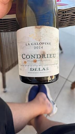 Rhônevallei Condrieu Delas La Galopine 2014
