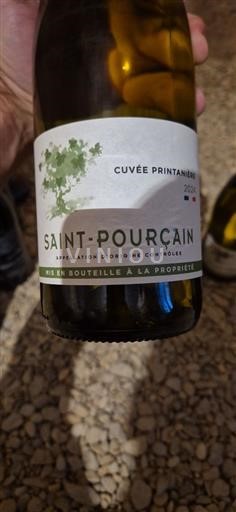 Vallée de la Loire Saint-Pourçain Cuvée Printanière 2024