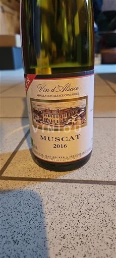 Elzas Grand Cru Jean Becker Muscat 2016
