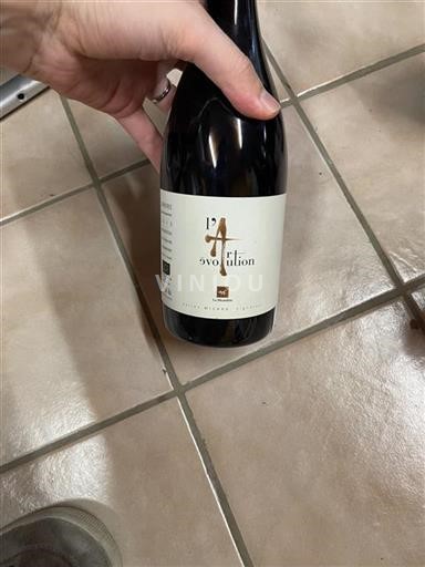 Vallée du Rhône Vacqueyras La Monardière L'Art Évolution 2013