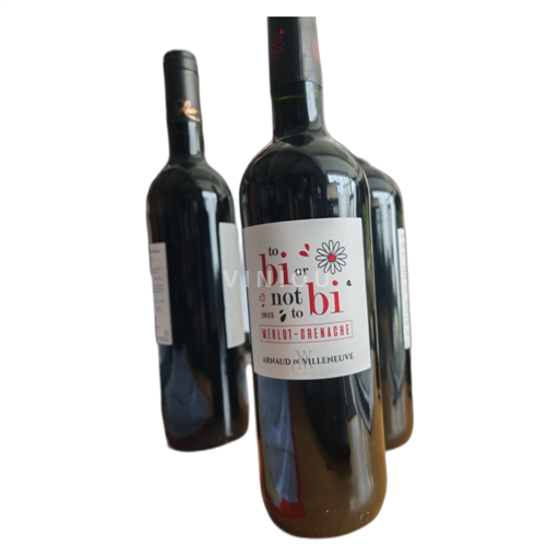 Languedoc et Roussillon Côtes catalanes Arnaud de Villeneuve to Bi or not to Bi 2023