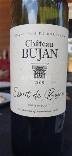 Bordeaux Côtes-de-bourg Château Bujan Esprit de Bujan 2019