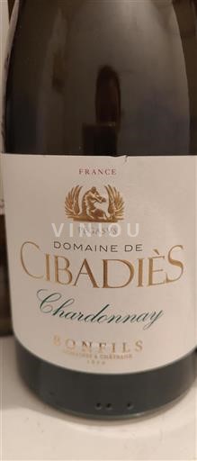 Languedoc Unspecified Domaine Cibadiès Chardonnay Non-Vintage