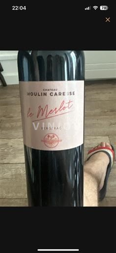 Jugozahod Bergerac Château Moulin Caresse Le Merlot 2020