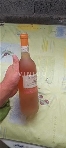 Valle della Loira Non specificato Domaine La Paleine Gris de la Paleine 2009