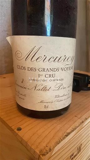 Vin Rouge sec Clos des Grands Voyens Jeannin-Naltet Père et Fils 1982 France Bourgogne Mercurey AOC Premier Cru