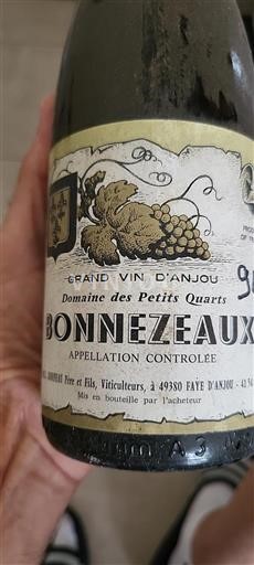 Valle della Loira Bonnezeaux Domaine Des Petits Quarts 1994