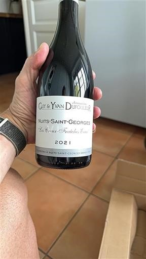 Bourgondië Nuits-saint-georges Domaine Guy & Yvan Dufouleur Les Creux-Fraîches Eaux 2021