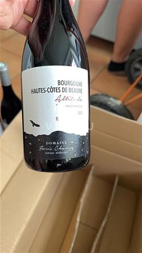 Borgogna Hautes Côtes de Beaune Domaine Boris Champy Altitude 2021