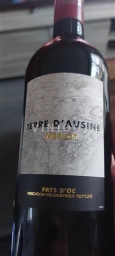 Languedoc et Roussillon Pays d'oc Terre Ausine Merlot Non Millésimé