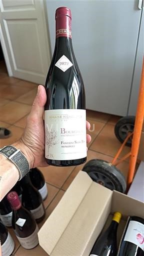 Bourgogne Domaine Michel Gros Fontaine Saint Martin Monopole 2022
