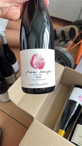Burgundy Coteaux Bourguignons Maxime Dubuet Boillot Peaux Rouges 2023