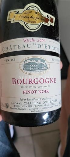 Borgogna Château Etroyes 2009