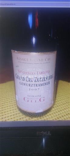 Alsazia Alsazia Grand Cru Grand Cru Domaine Ginglinger 2007