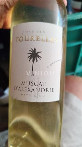 Languedoc a Roussillon Pays d'Oc Mas des Tourelles Muscat d'Alexandrie Neročník