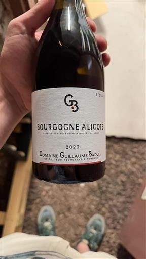 Bourgogne Bourgogne Aligoté Domaine Guillaume Baduel 2023