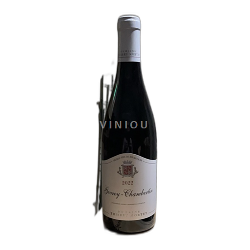 Borgogna Gevrey-Chambertin Domaine Thierry MORTET 2022 2022