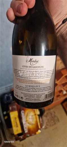 Jihozápad Côtes de Gascogne Château Monluc Le Moelleux Neročník