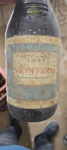 Valle del Rodano Vacqueyras Cave des Vignerons à Vacqueyras 1995