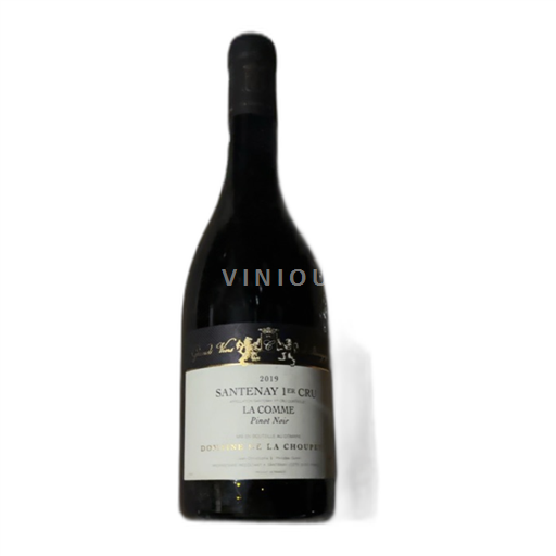 Bourgogne Santenay Premier Cru Domaine La Choupette La comme 2019
