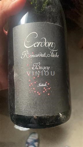 Vin Effervescent Rouge sec Initiale Renardat-Fâche Non millésimé France Bourgogne Corton AOC