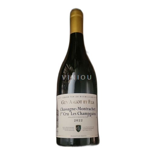 Borgogna Chassagne-Montrachet Premier Cru Guy Amiot et Fils Les Champgains 2022