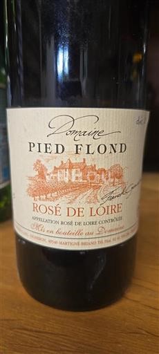 Valle della Loira Rosato della Loira Domaine Pied Flond 2017