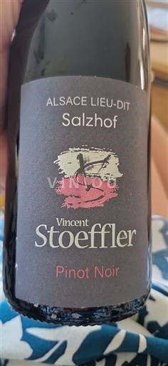 Elzas Niet gespecificeerd Vincent Stoeffler Salzhof Niet-geïntegreerd