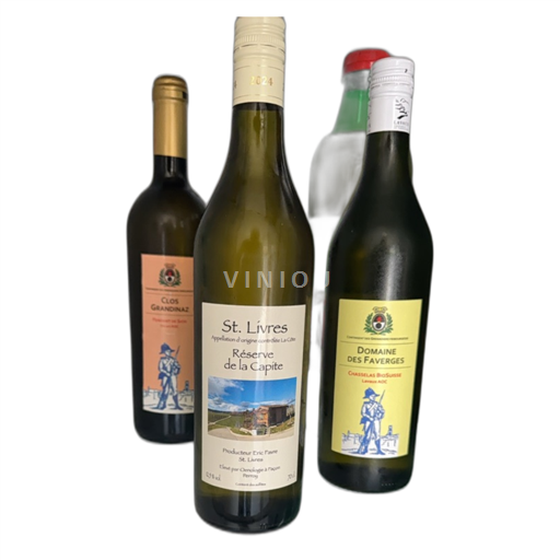 Vin Blanc sec Eric Favre La Capite 2024 Suisse Vaud La Côte AOC