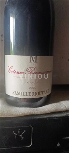 Burgundy Coteaux Bourguignons Famille Moutard Gamay 2022